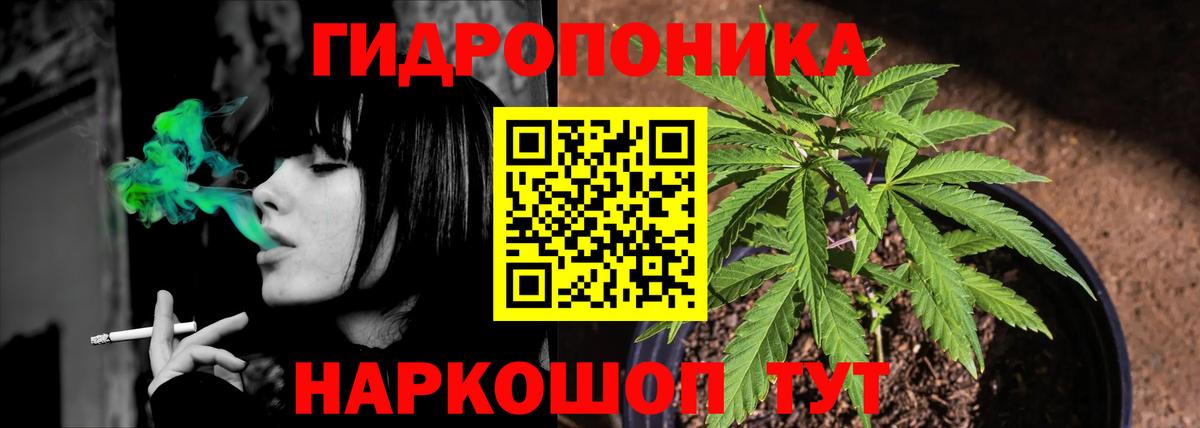 Конопля тримм  Каннабис VHQ  Долгопрудный  МАРИХУАНА гибрид  Каннабис планчик  Вход с VPN 